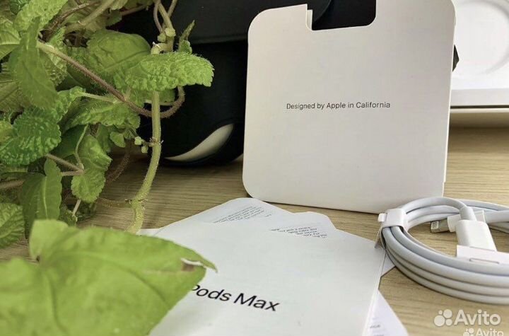 Airpods Max (Premium)