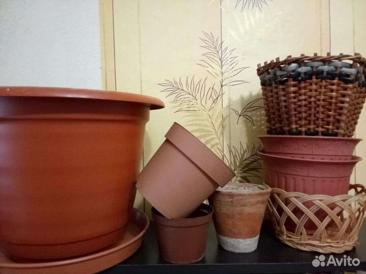 Набор кашпо