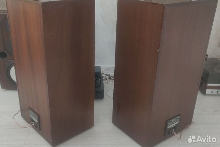 Акустическая система Радиотехника s90 (35ас-212)