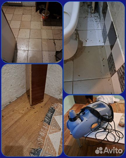 Клининговые услуги (квартиры, офисы, мойка окон)