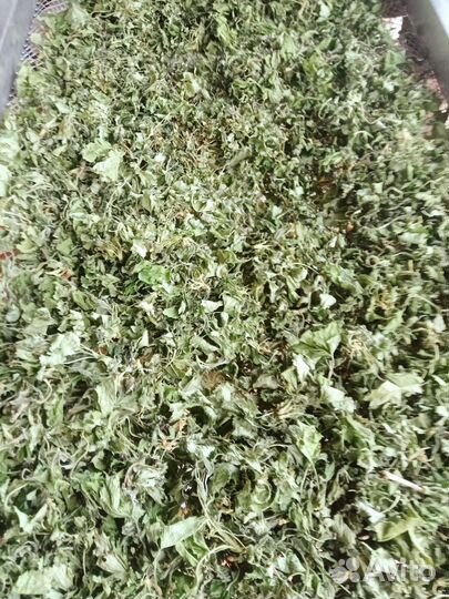 Чай смородина