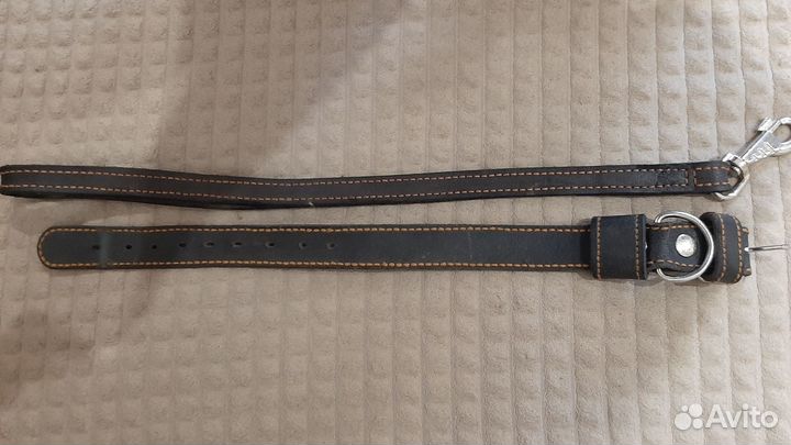 Поводок и ошейник для собак