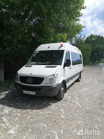 Пассажирские перевозки