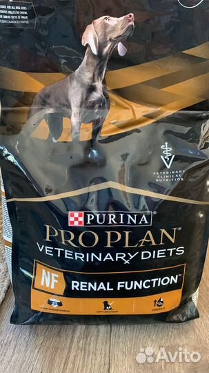 Сухой корм для собак