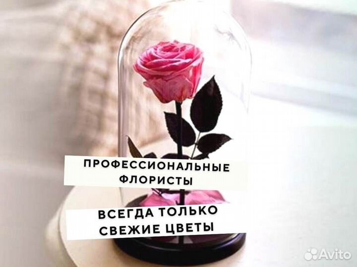 Неувядающая роза в колбе