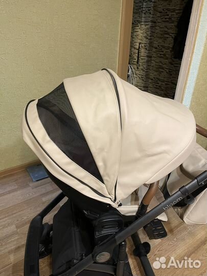 Коляска 2 в 1 Roan bloom