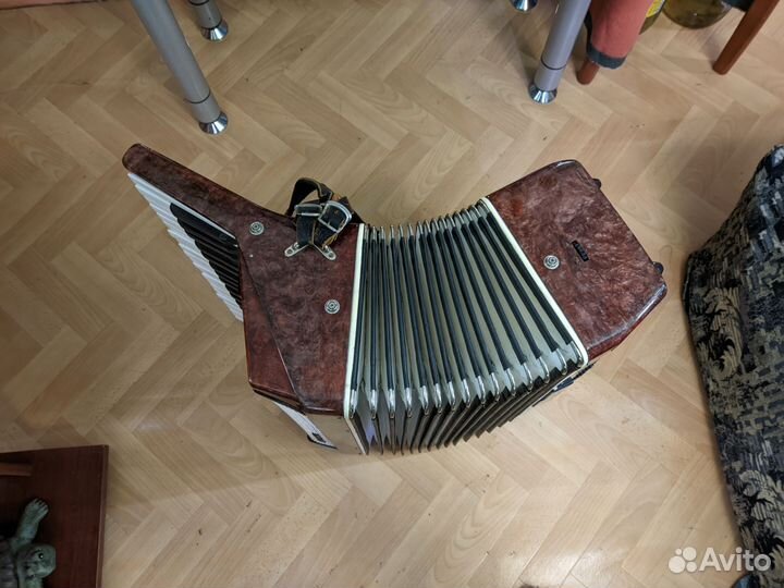 Аккордеон Восход