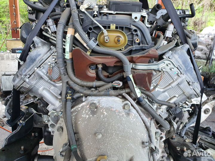 Двс c Lexus LS460 USF40 1UR-FSE