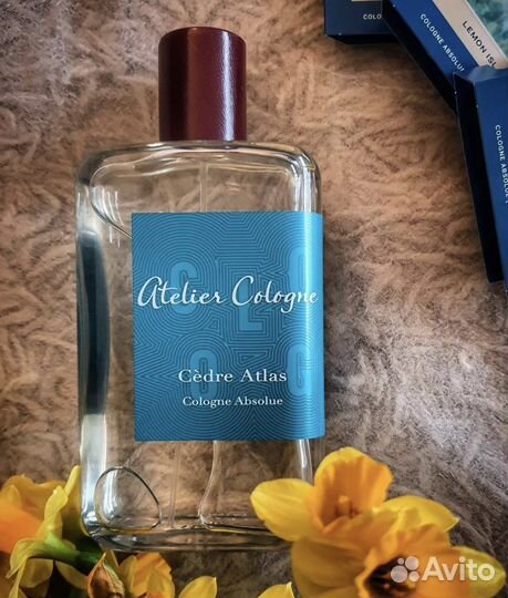 Цедре атлас парфюм