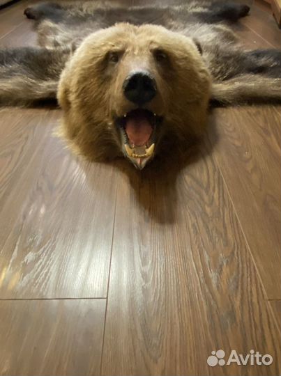 Шкура медведя (имитация)