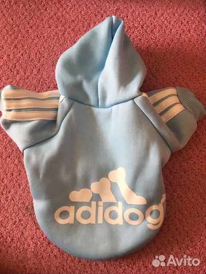 Одежда для собак