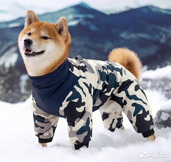 Собд38. Дождевик для собак (спинка 30см)