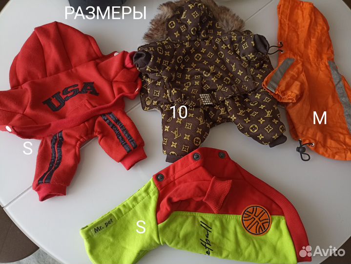 Костюмы для маленьких собак