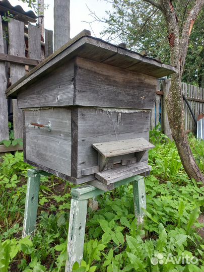 Улей для пчел бу