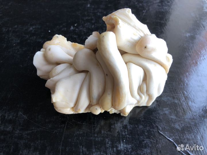 Искусственный камень для диорам, декор коралл и тд