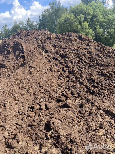 Продаю навоз