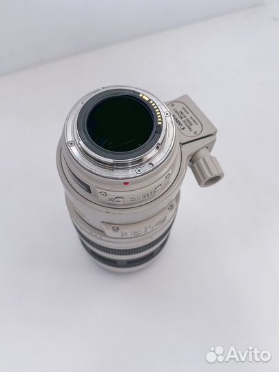 Canon EF 100-400mm f/4.5-5.6L IS USM