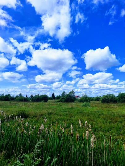 Участок 15 сот. (ИЖС)