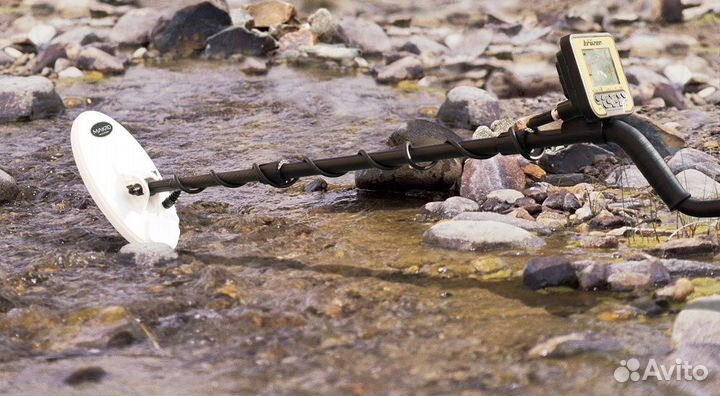 Металлоискатель Nokta Gold Kruzer