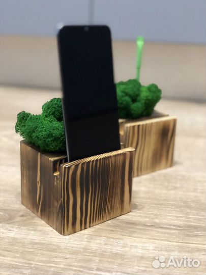 Стабилизированный мох