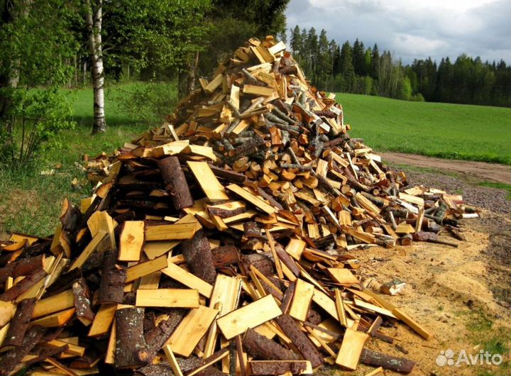 Дрова подсушенные