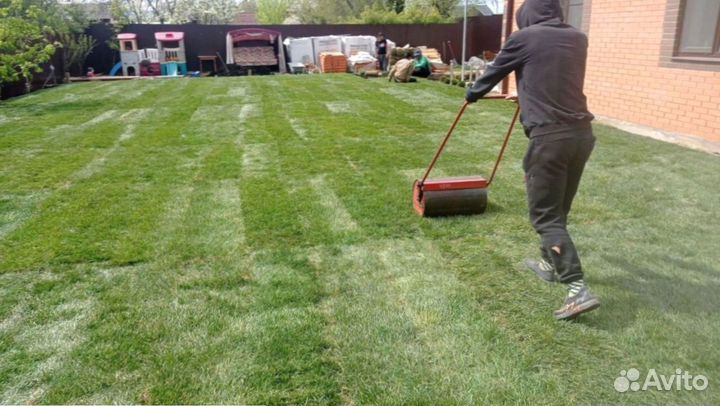 Рулонный газон с доставкой. Любой объем