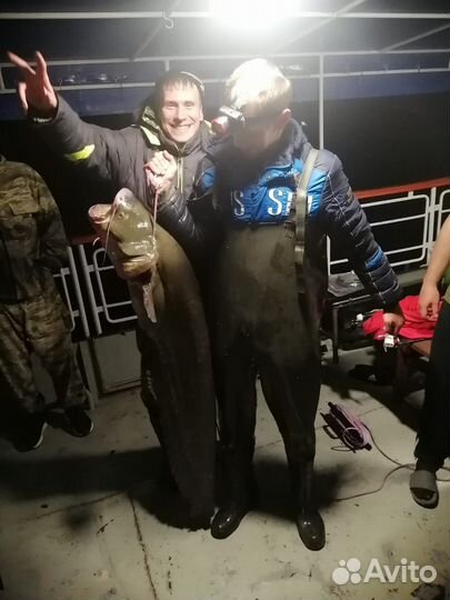 Рыбалка и охота в Астрахани. Аренда катера