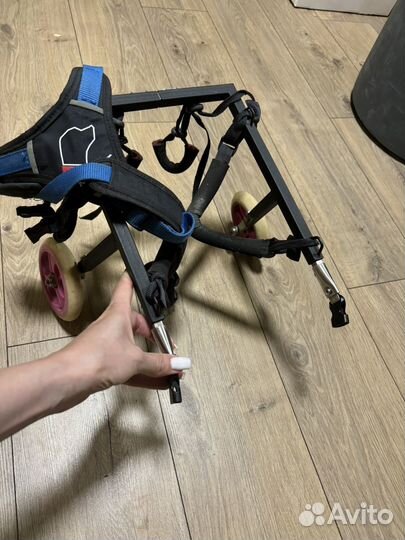 Инвалидная коляска для собак