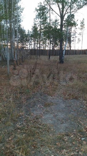 Участок 12 сот. (ИЖС)