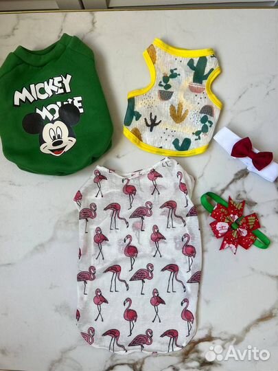 Одежда для животных бу