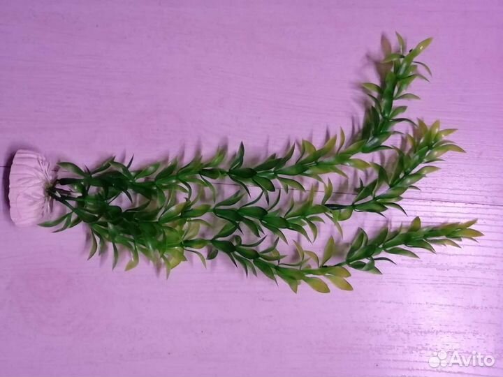 Аквариумное растение 25 см