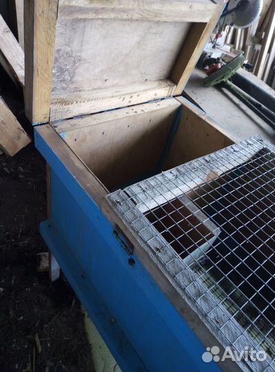 Клетки для кроликов