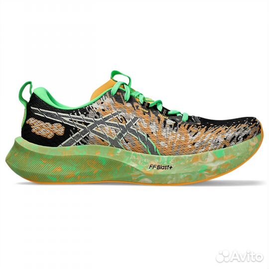 Кроссовки мужские Asics Noosa Tri 16