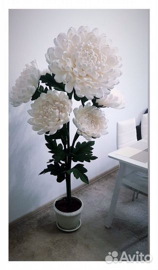 Ростовые цветы