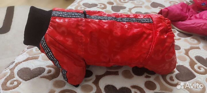 Зимний комбинезон для маленьких собак