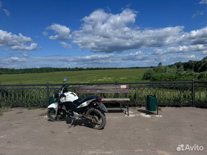 Стелс флекс 250