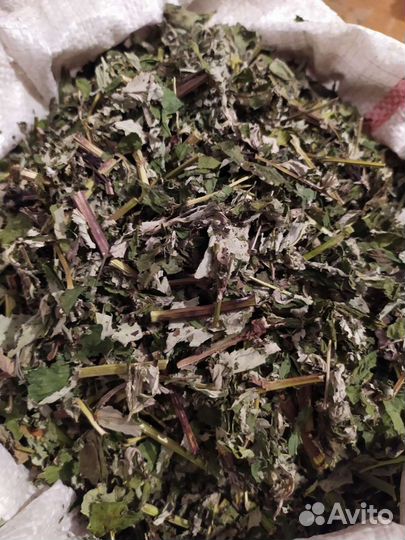 Травы Алтая оптом