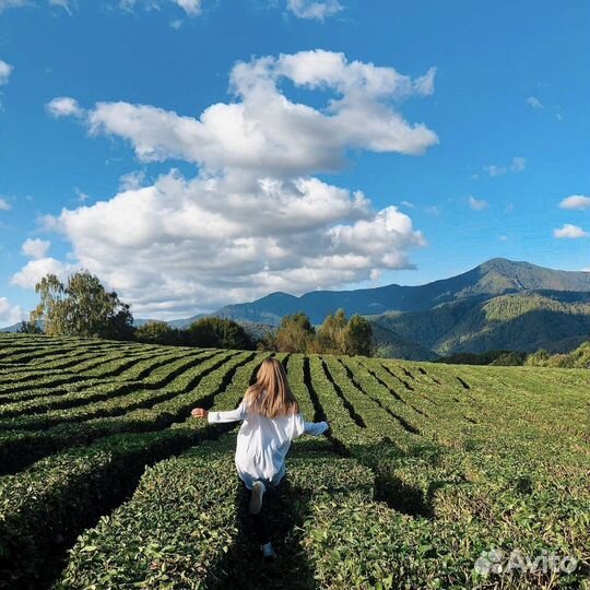 Джип-тур Солохаул, Озера Любви. Экскурсия Сочи