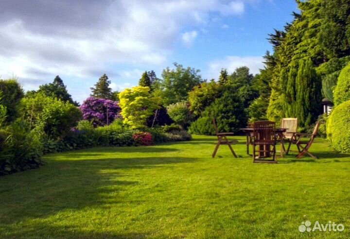 Укладка и продажа газона