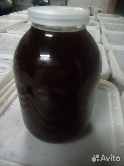 Продам мёд оптом и в розницу