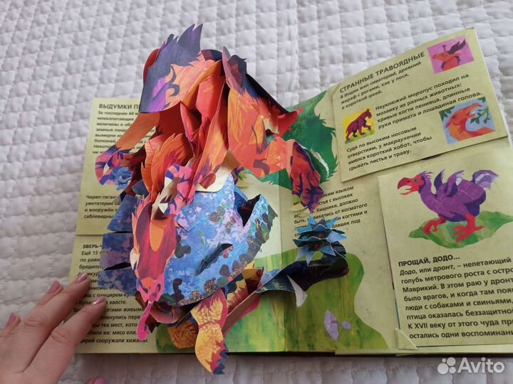 Книга с окошками Энциклопедия древностей Звери