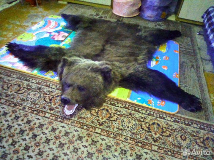 Чучела(выделка)