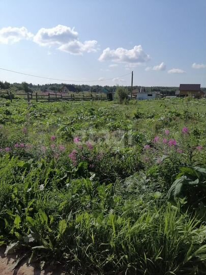 Участок 10 сот. (ИЖС)