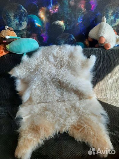 Шкура пуховой горной козы