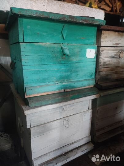 Продам двухкорпусные ульи 