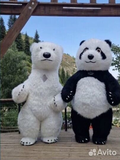 Панда Маша и медведь, белый мишка поздравление