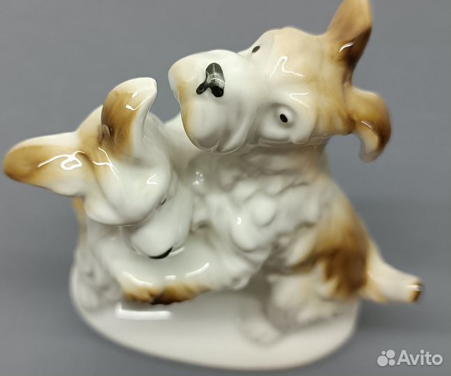 Статуэтки фарфор Германия собаки Терьеры