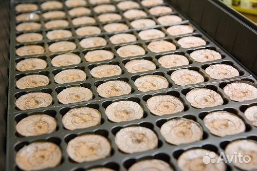 Торфяные таблетки Jiffy,41 мм,100 шт/уп