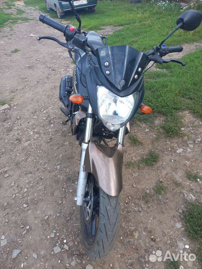 Motoland бандит