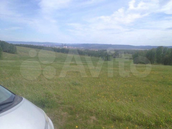 Участок 48 сот. (СНТ, ДНП)